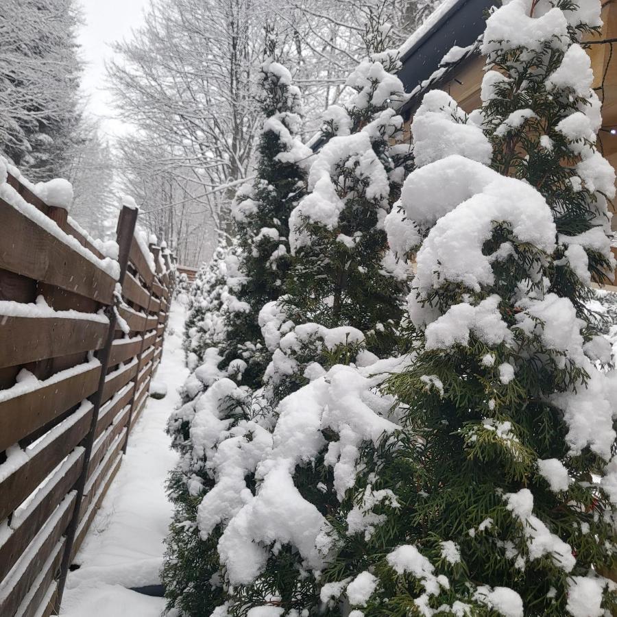 Villa Quad Poiana Brasov Exterior foto